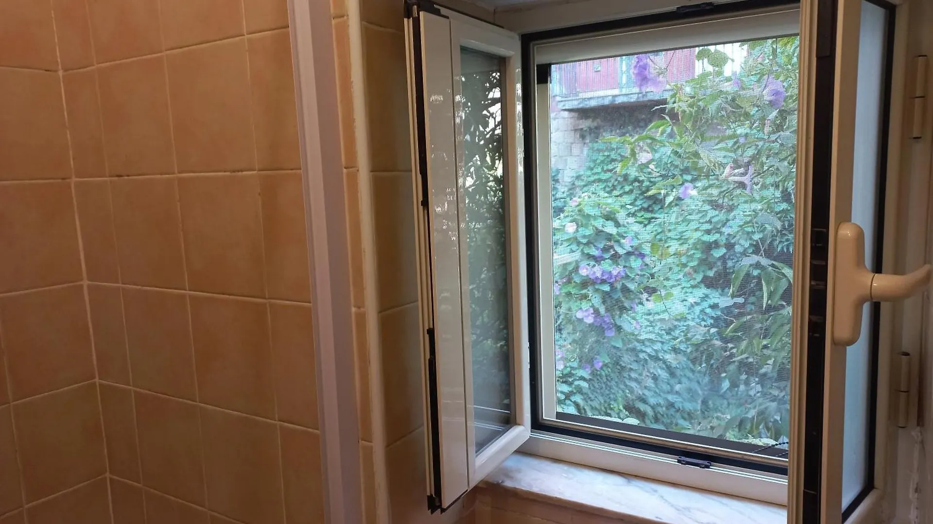 Apartment Appartamentino Napoli Centro Storico